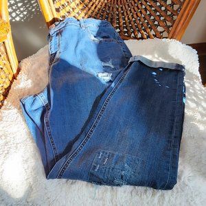 Distressed Jeans, Avenue, Size 20